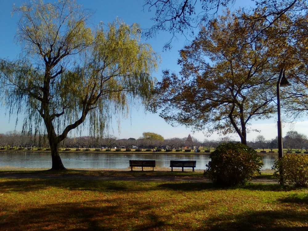 水元公園の写真 ©Hasec(CC0)