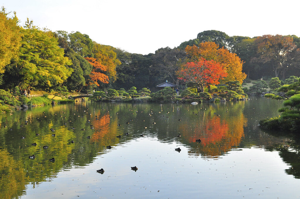 清澄庭園の写真 ©ehnmark(CC BY 2.0)