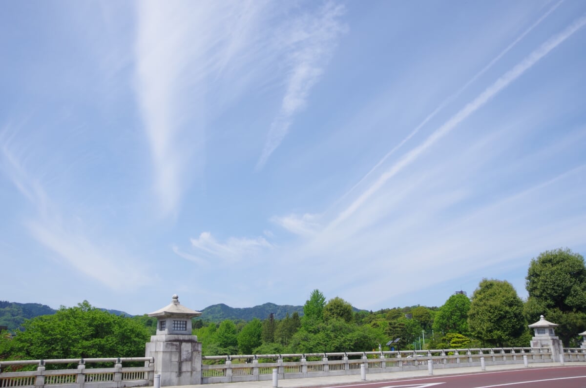 都立陵南公園の写真 