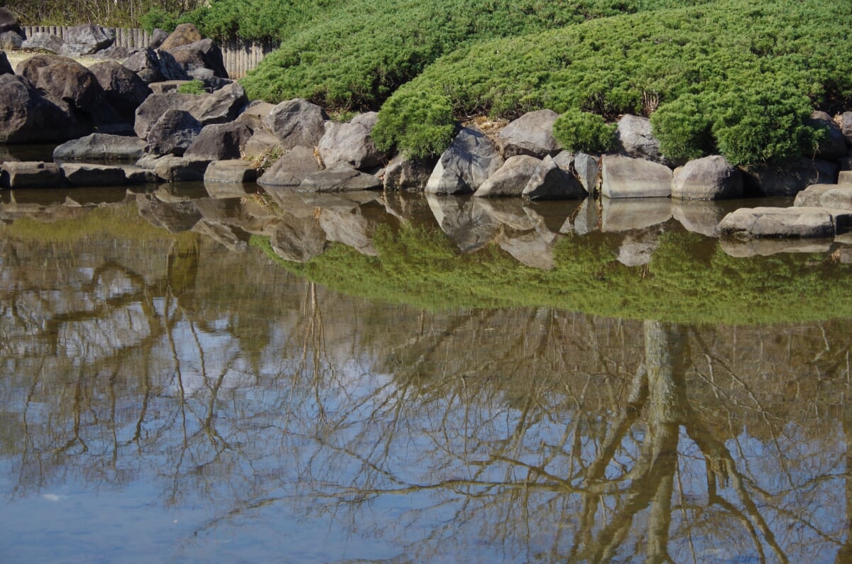 都立陵南公園の写真 