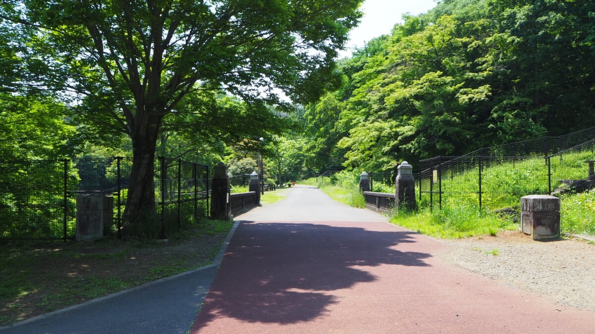 都立狭山公園の写真 