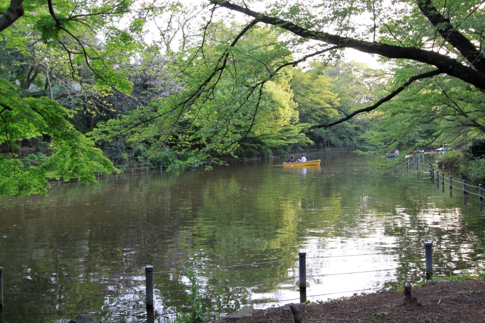 井の頭恩賜公園の写真 ©jojo(CC BY-SA 3.0)