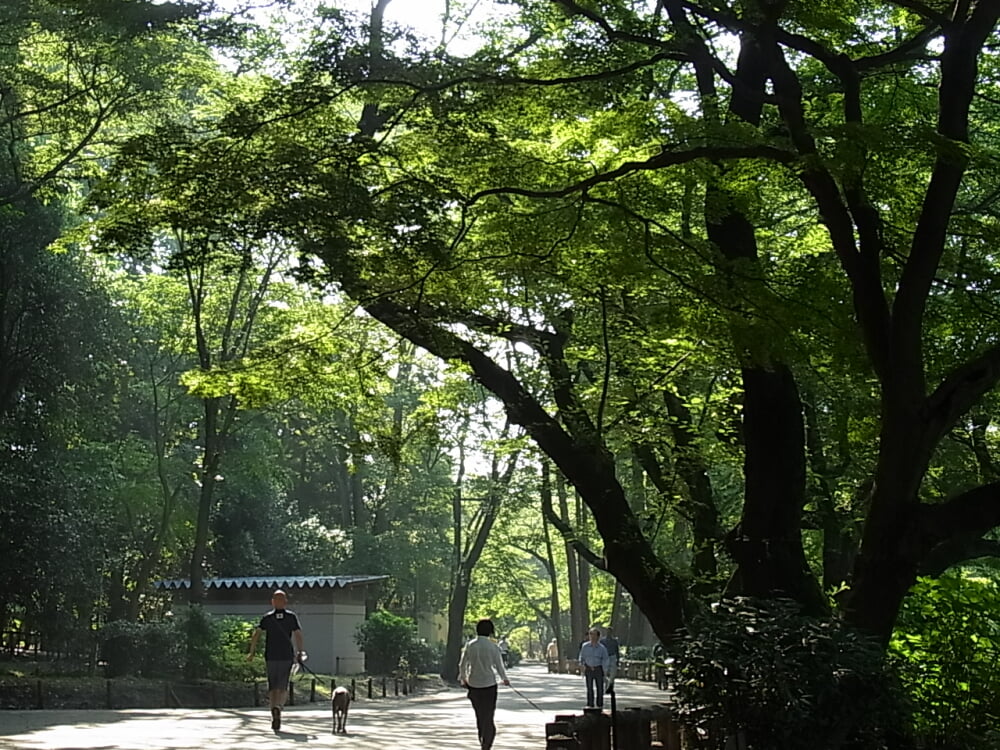 井の頭恩賜公園の写真 ©Lucy Takakura(CC BY-SA 2.0)