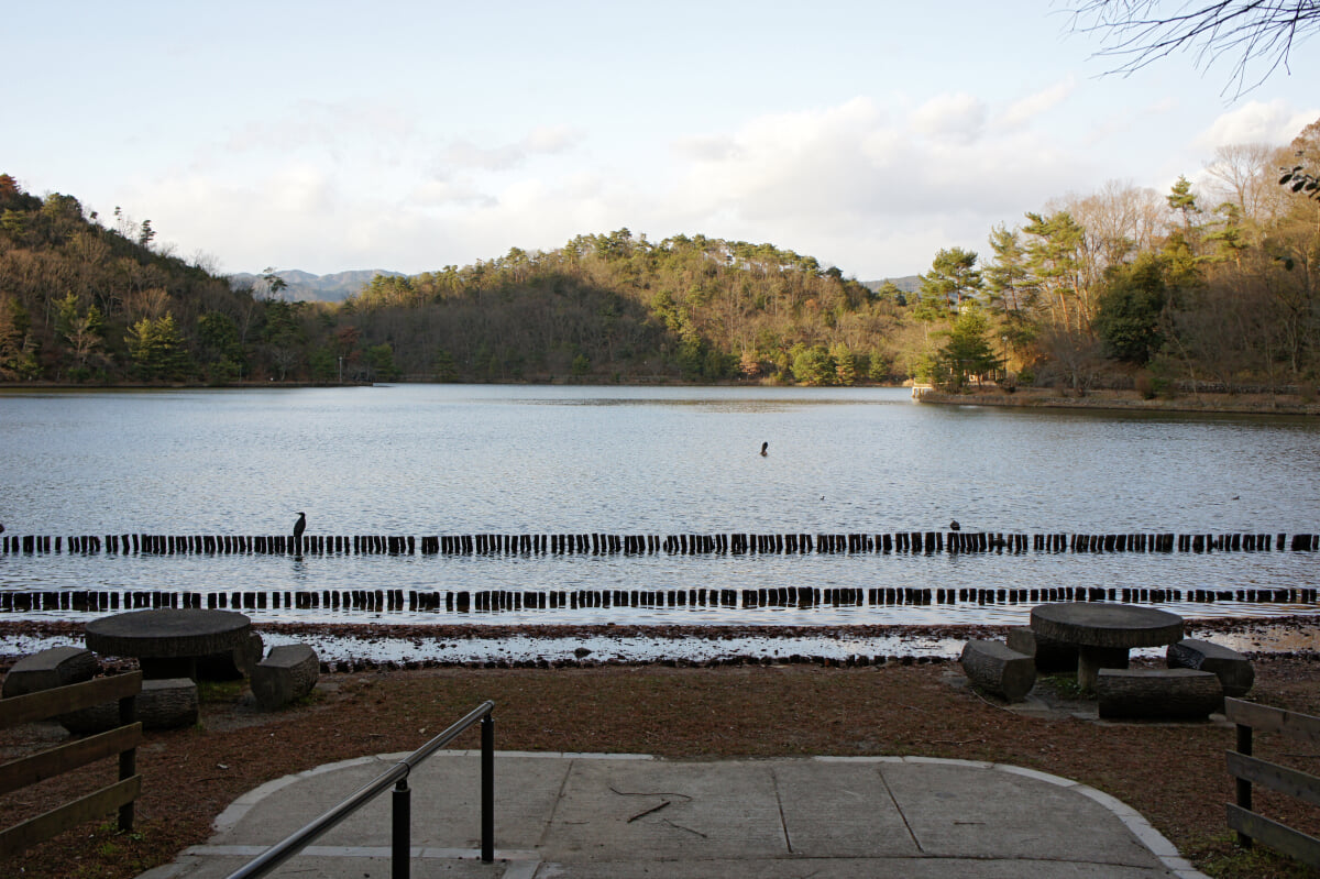 宝が池公園・子どもの楽園の写真 ©663highland(CC BY-SA 3.0)