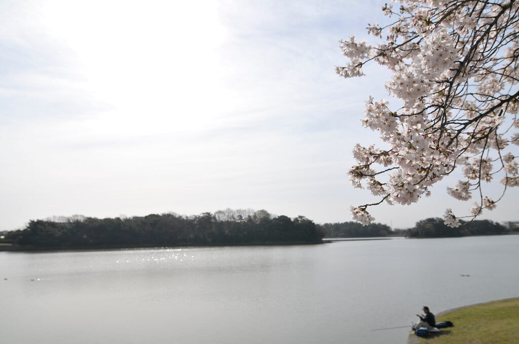 洲原公園の写真 ©BONGURI(CC BY-ND 2.0)