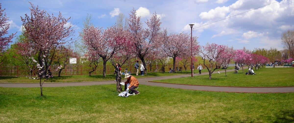 発寒河畔公園の写真 ©t-konno(CC BY-SA 3.0)