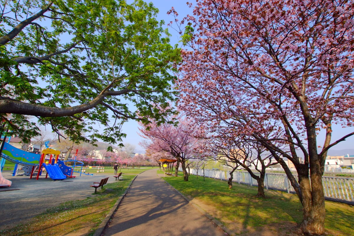 発寒河畔公園の写真 ©t-konno(CC BY-SA 3.0)