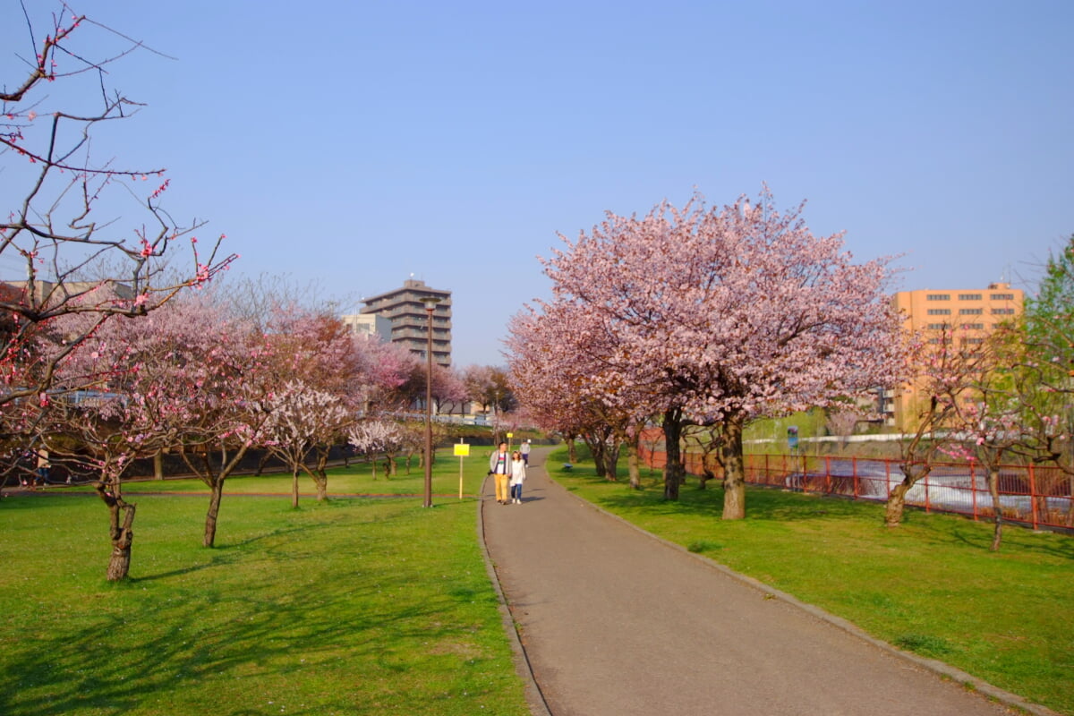 発寒河畔公園の写真 ©t-konno(CC BY-SA 3.0)