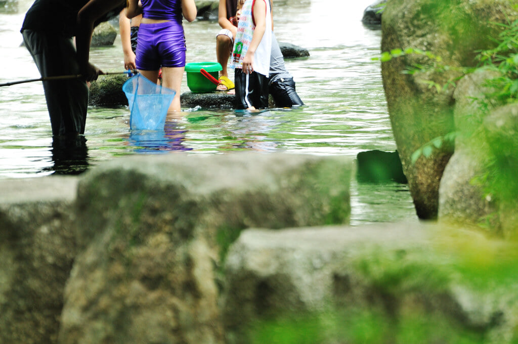 小松川境川親水公園の写真 ©ajari(CC BY 2.0)