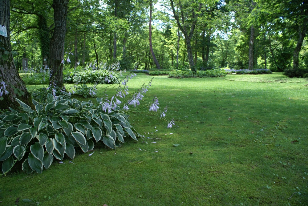 但馬高原植物園(たじま高原植物園)の写真 ©663highland(CC-BY-SA-3.0)