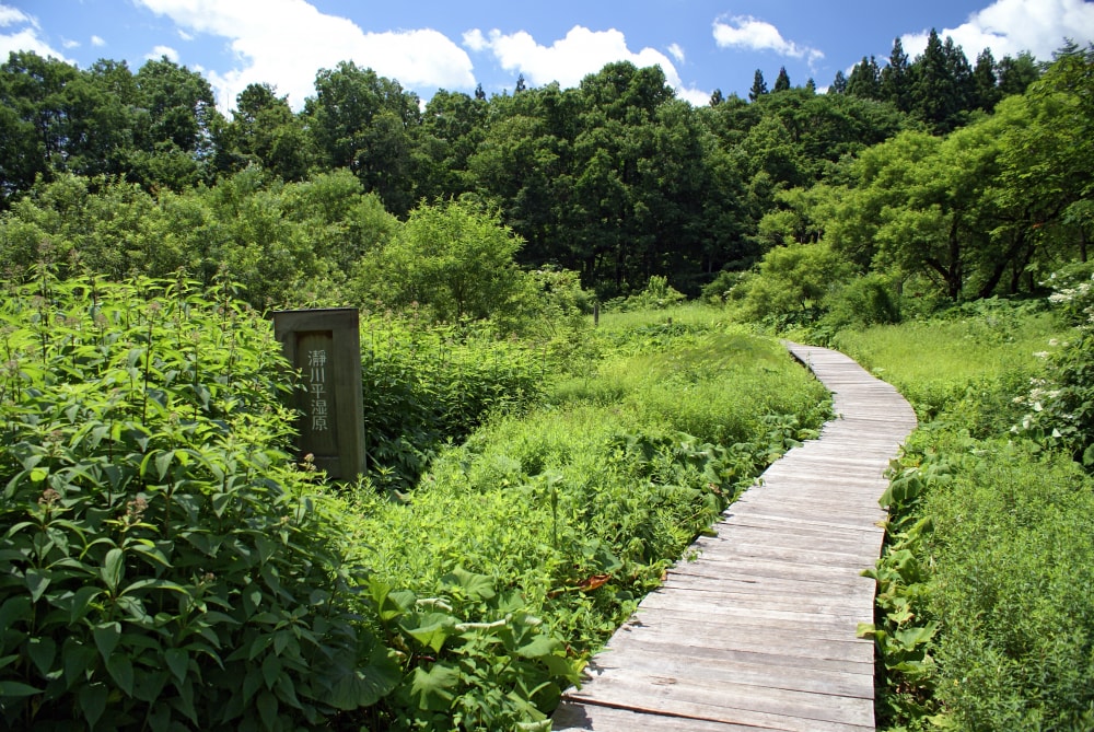 但馬高原植物園(たじま高原植物園)の写真 ©663highland(CC-BY-SA-3.0)