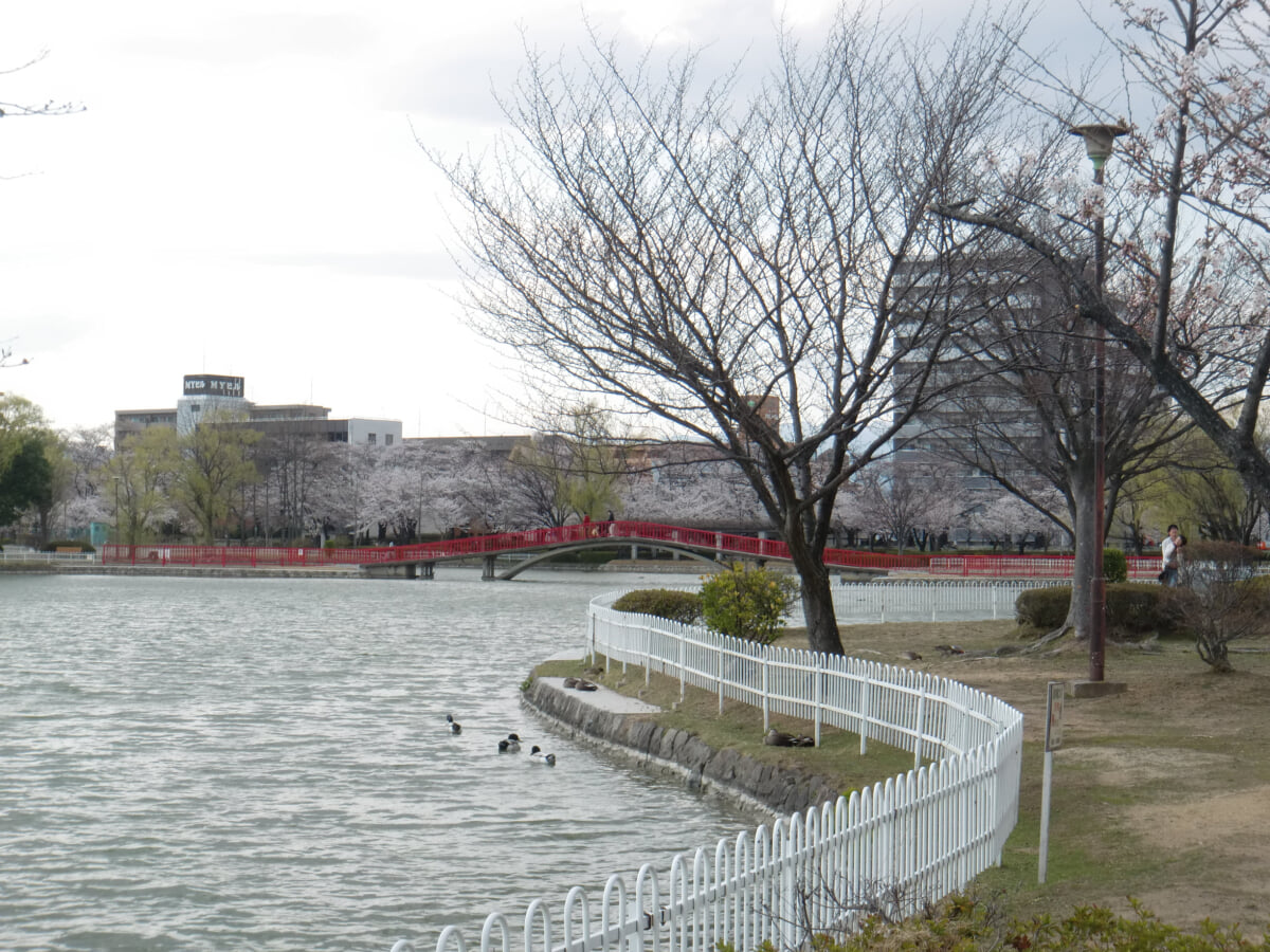 開成山公園の写真 ©Sugikats(CC BY-SA 4.0)