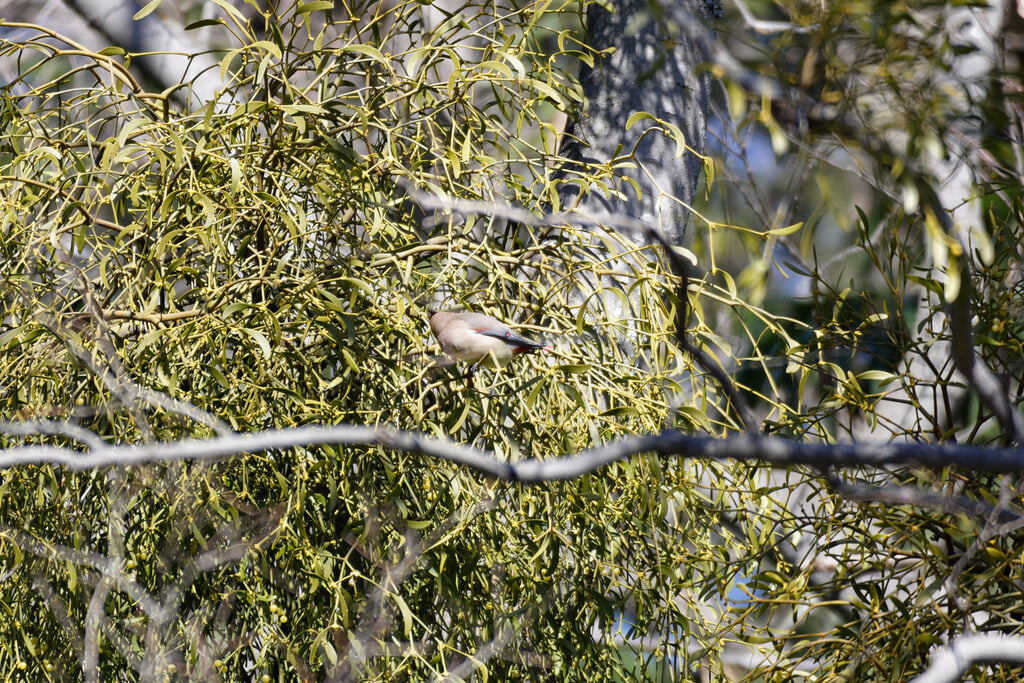 富岡総合公園の写真 ©nyanchew(CC BY 2.0)