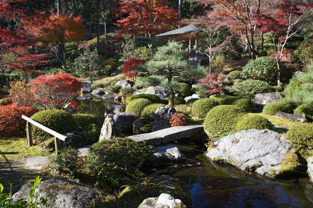 三室戸寺の写真 ©663highland(CC-BY-SA-3.0)