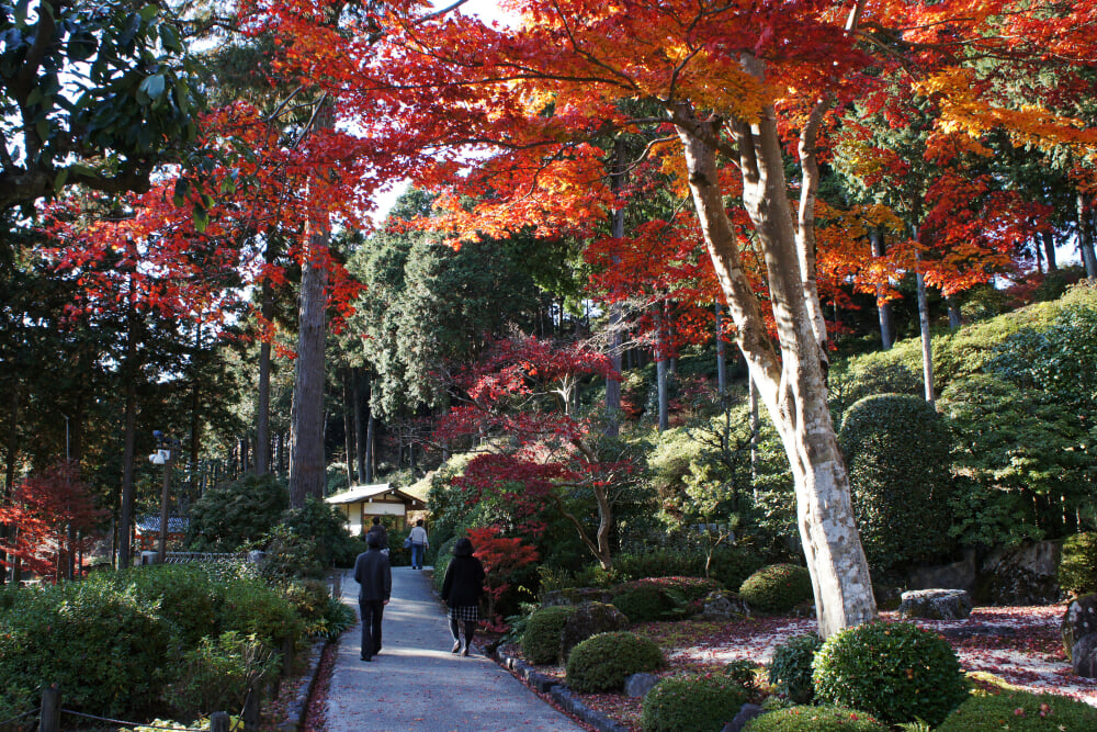 三室戸寺の写真 ©663highland(CC-BY-SA-3.0)