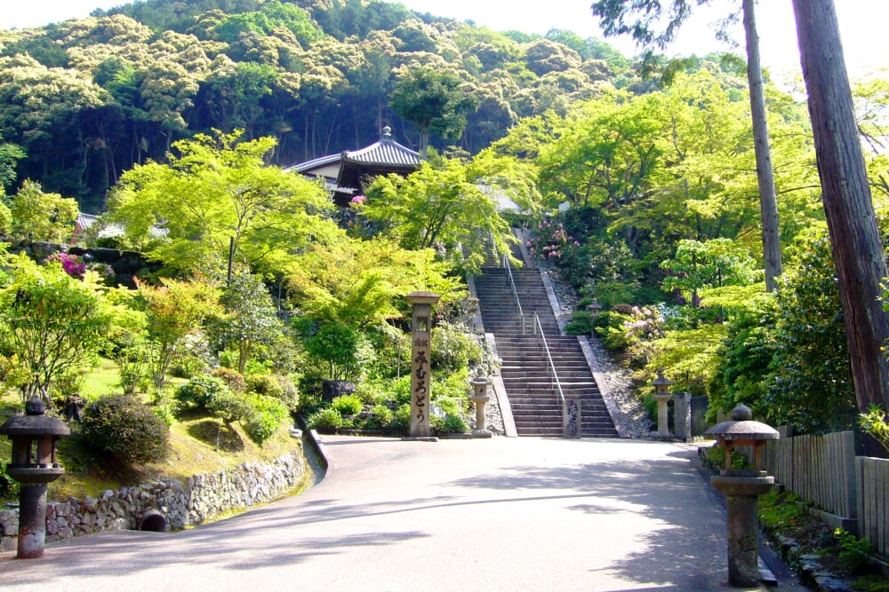 三室戸寺の写真 ©ttshr1970(CC BY 3.0)