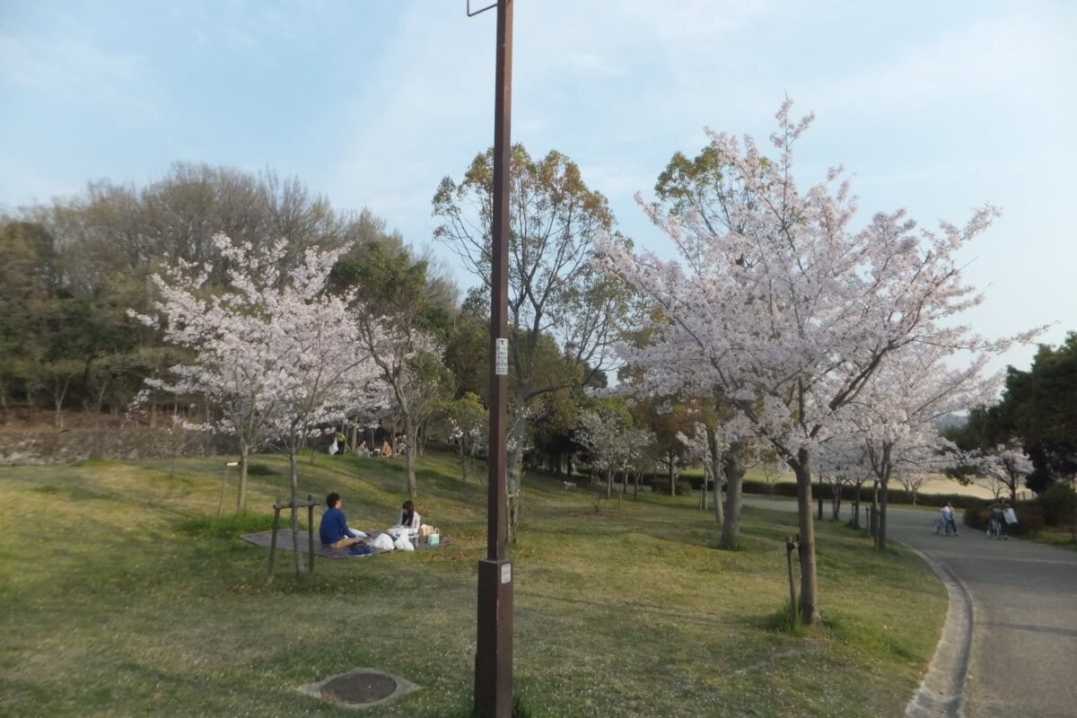 西神中央公園の写真 ©Mti(CC BY-SA 3.0)