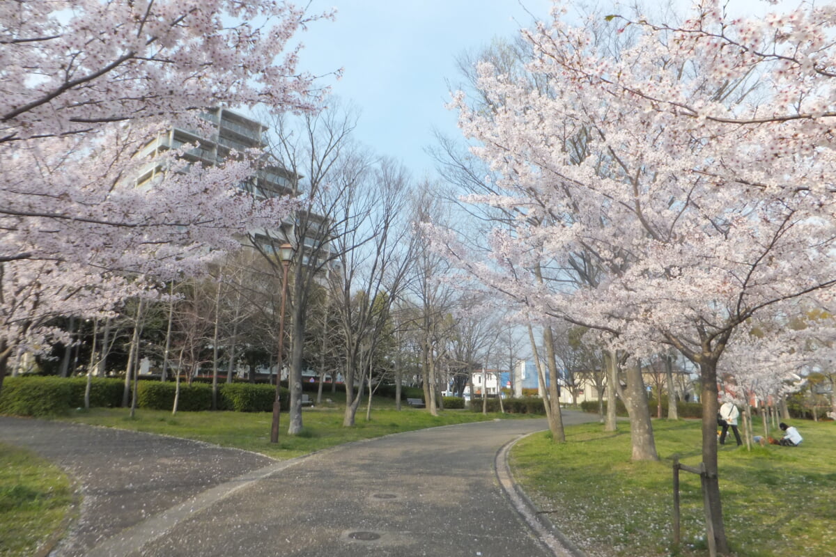 西神中央公園の写真 ©Mti(CC BY-SA 3.0)