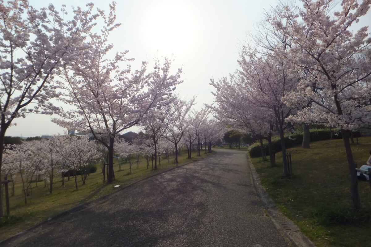 西神中央公園の写真 ©Mti(CC BY-SA 3.0)