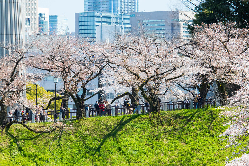 皇居の写真 ©t.kunikuni(CC BY-SA 2.0)