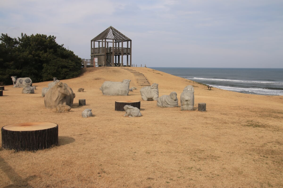 鹿島灘海浜公園の写真 