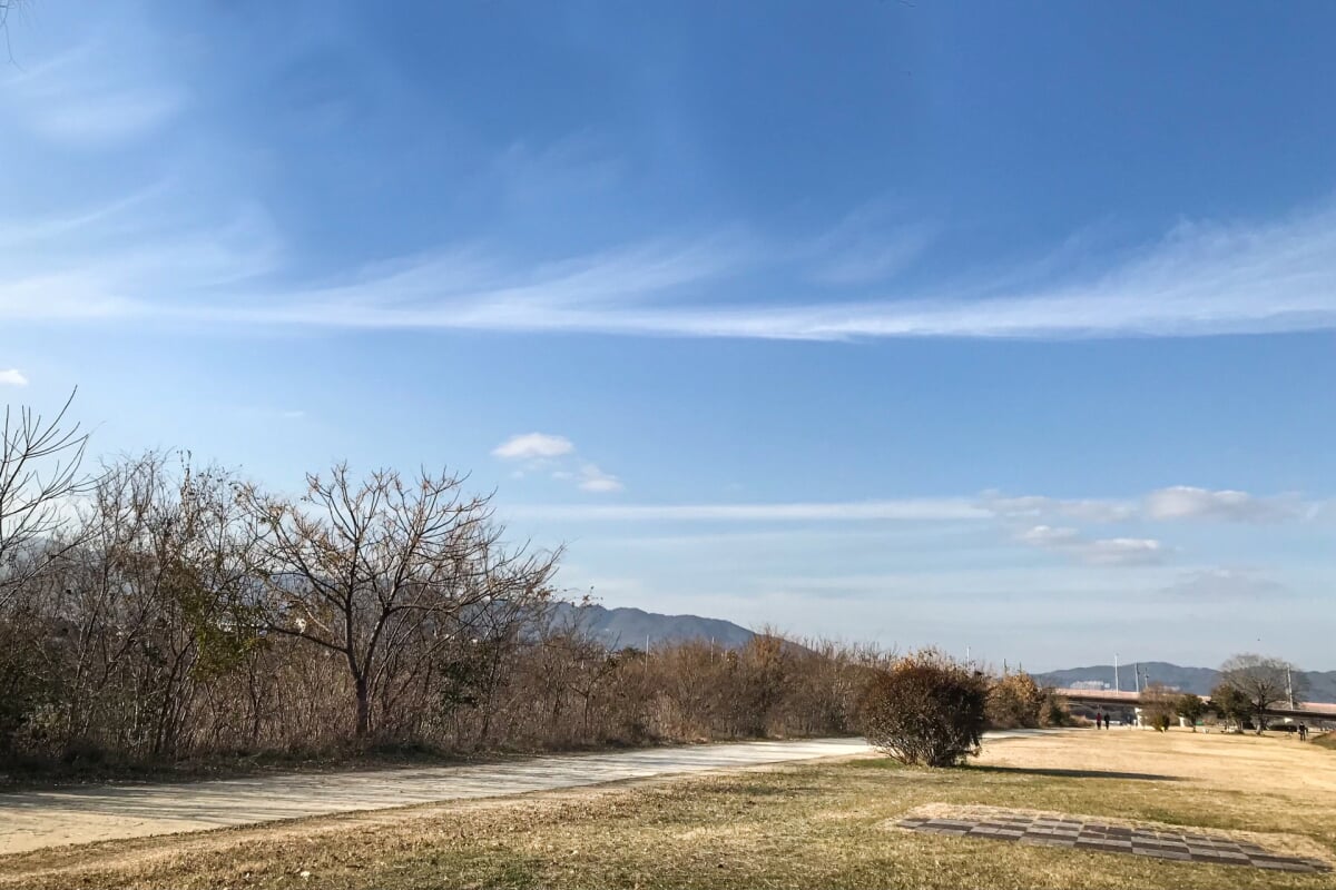 武庫川河川敷緑地の写真 