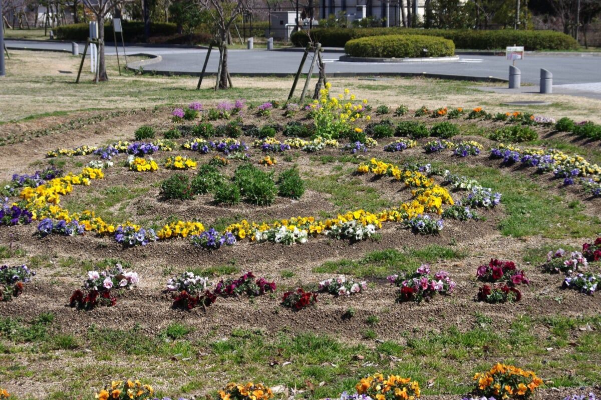 鳴門ウチノ海総合公園の写真 