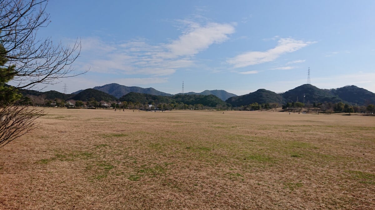 鳴門ウチノ海総合公園の写真 