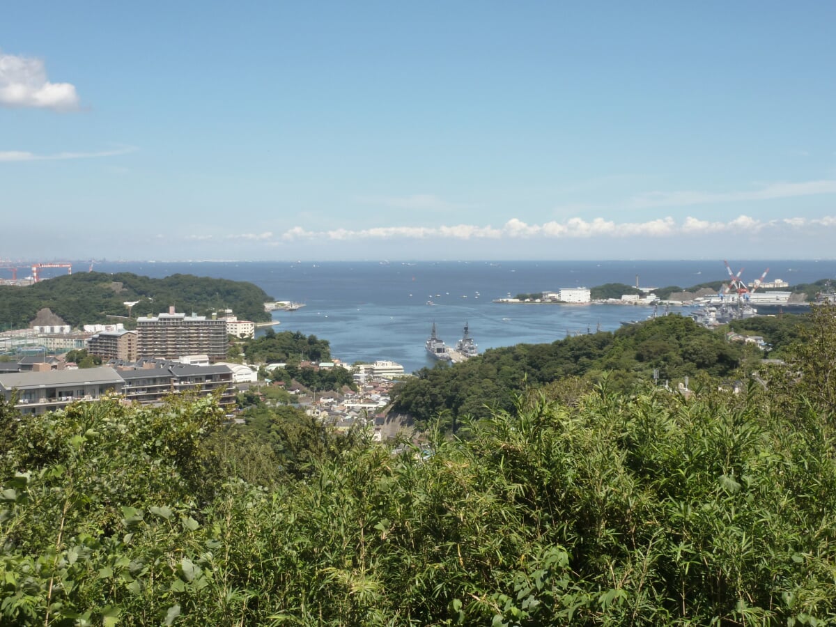 県立塚山公園の写真 ©Quercus(CC BY-SA 4.0)