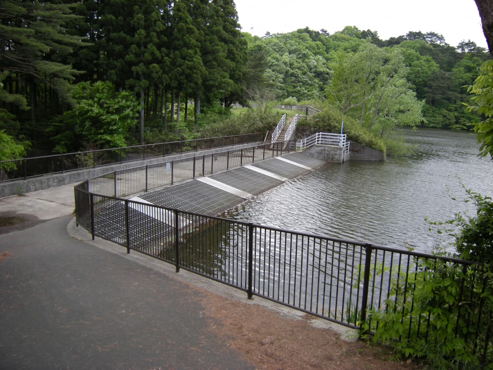 水の森公園の写真 ©Wkatsuhiro(Public domain)