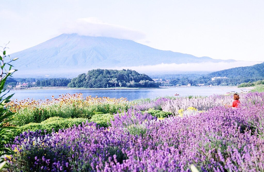 忍野八海の写真 ©revelyrist(CC BY-SA 2.0)