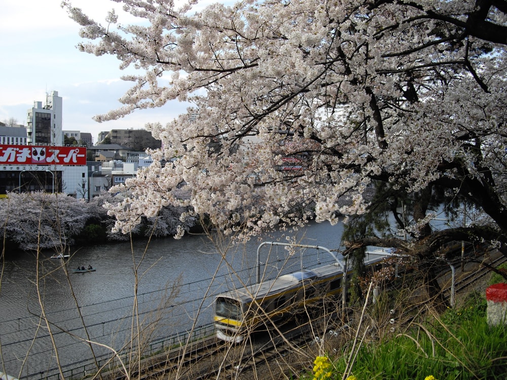 外濠公園の写真 ©koji_h(CC BY 3.0)