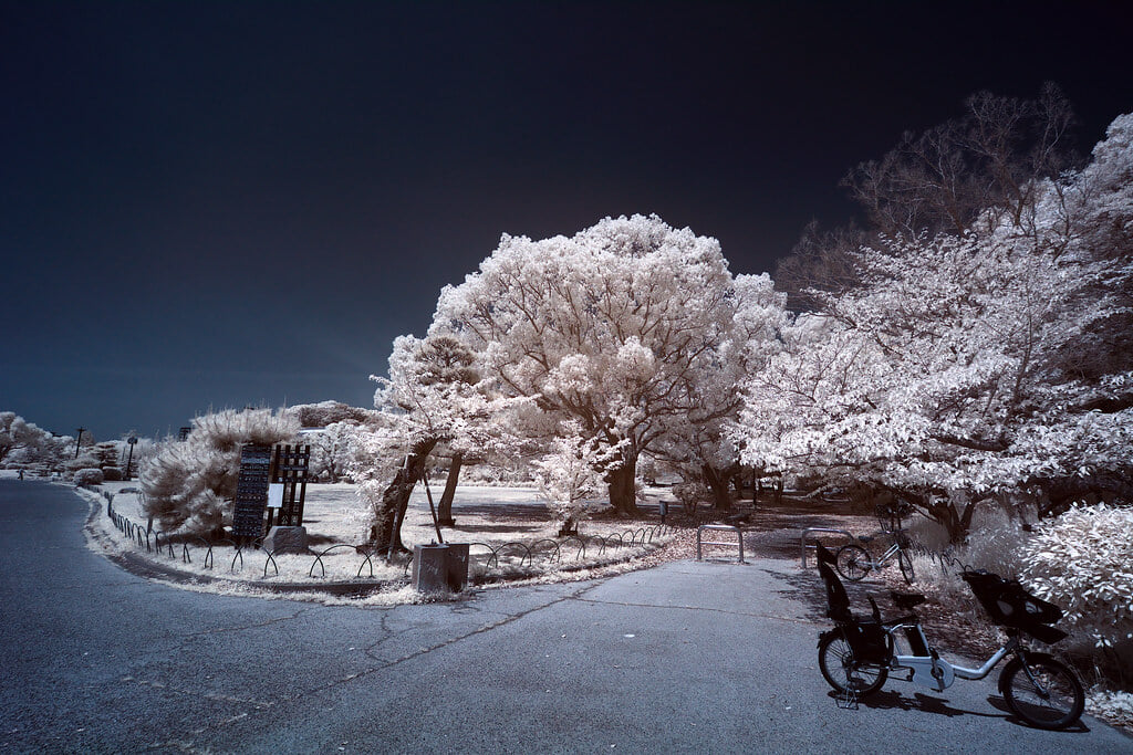 明石公園の写真 ©halfrain(CC BY-SA 2.0)