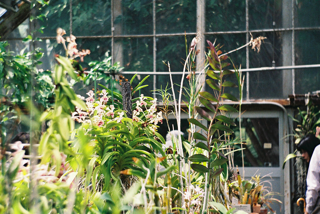 小石川植物園の写真 ©sabamiso(CC BY 2.0)