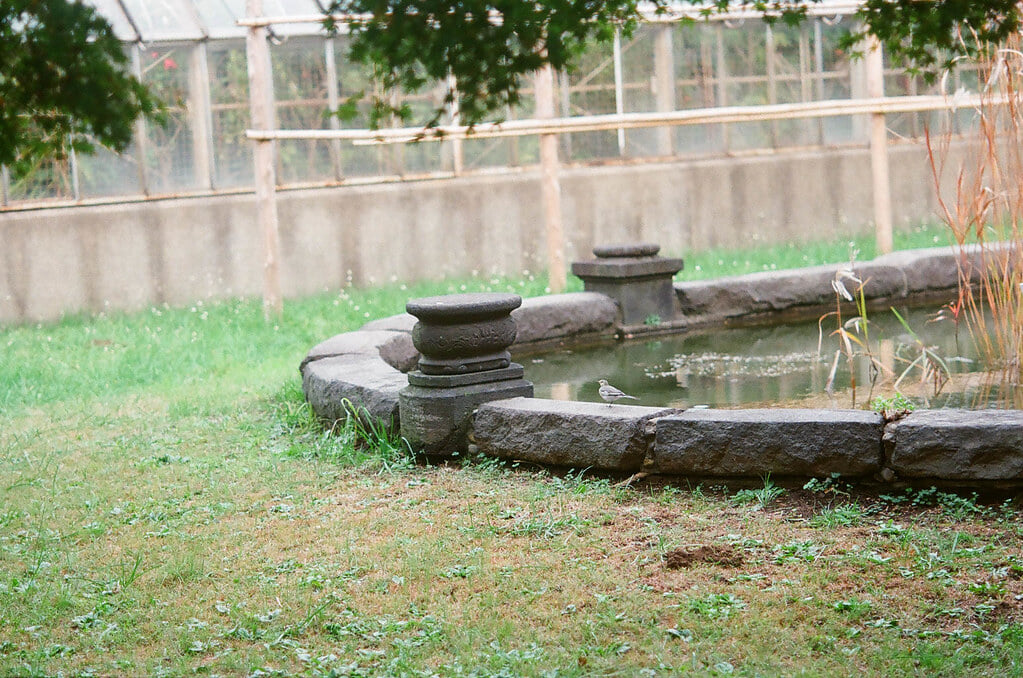 小石川植物園の写真 ©sabamiso(CC BY 2.0)