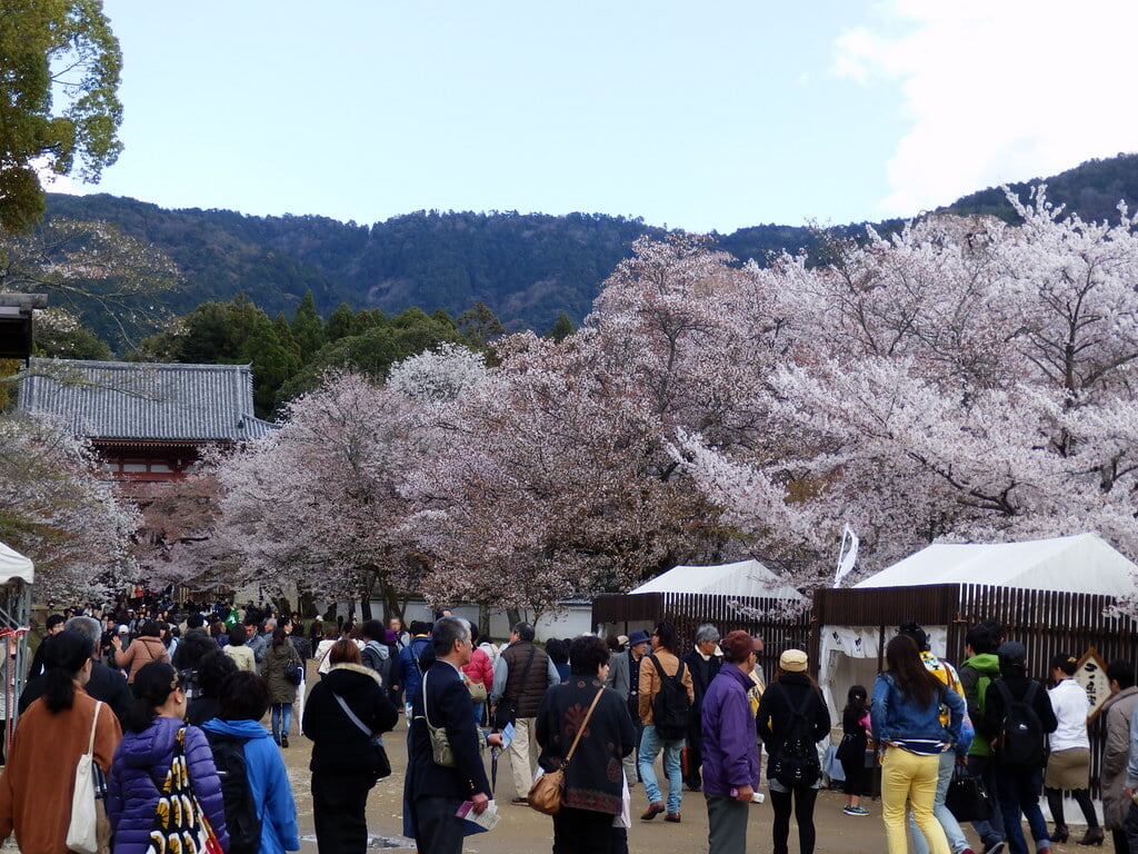 醍醐寺の写真 ©izunavi(CC BY 2.0)