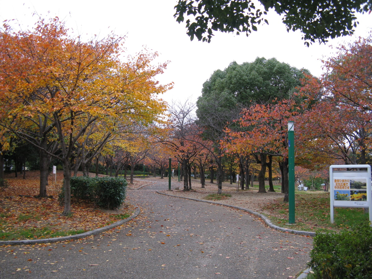 八幡屋公園の写真 ©KENPEI(CC BY-SA 3.0)