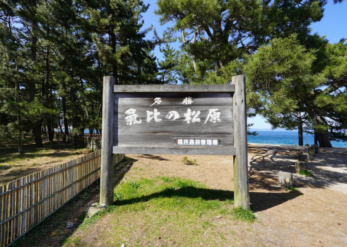 気比の松原海水浴場の写真 