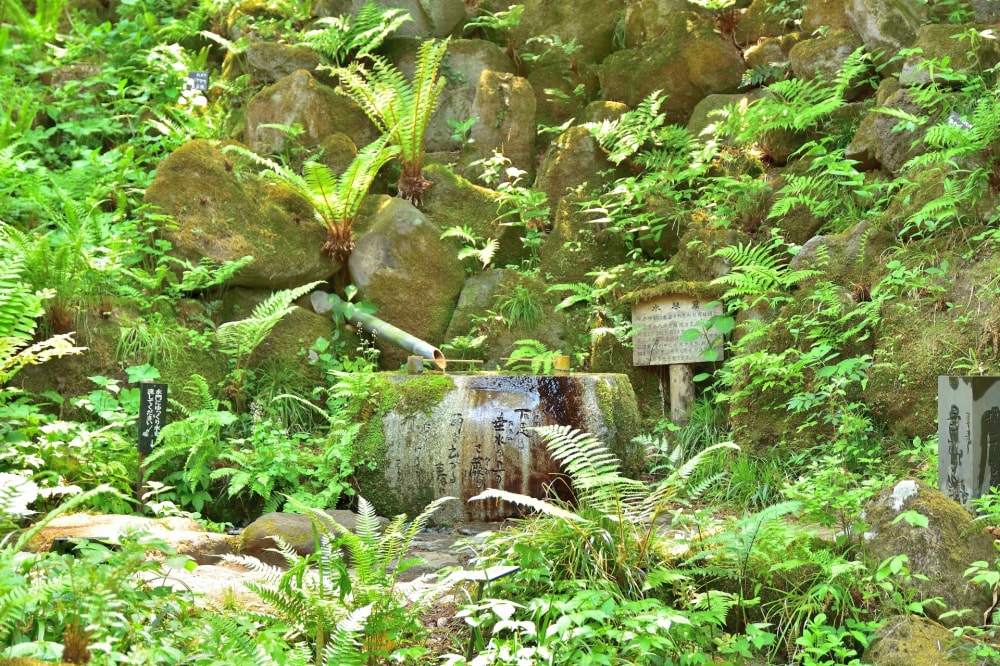 仙台市野草園の写真 