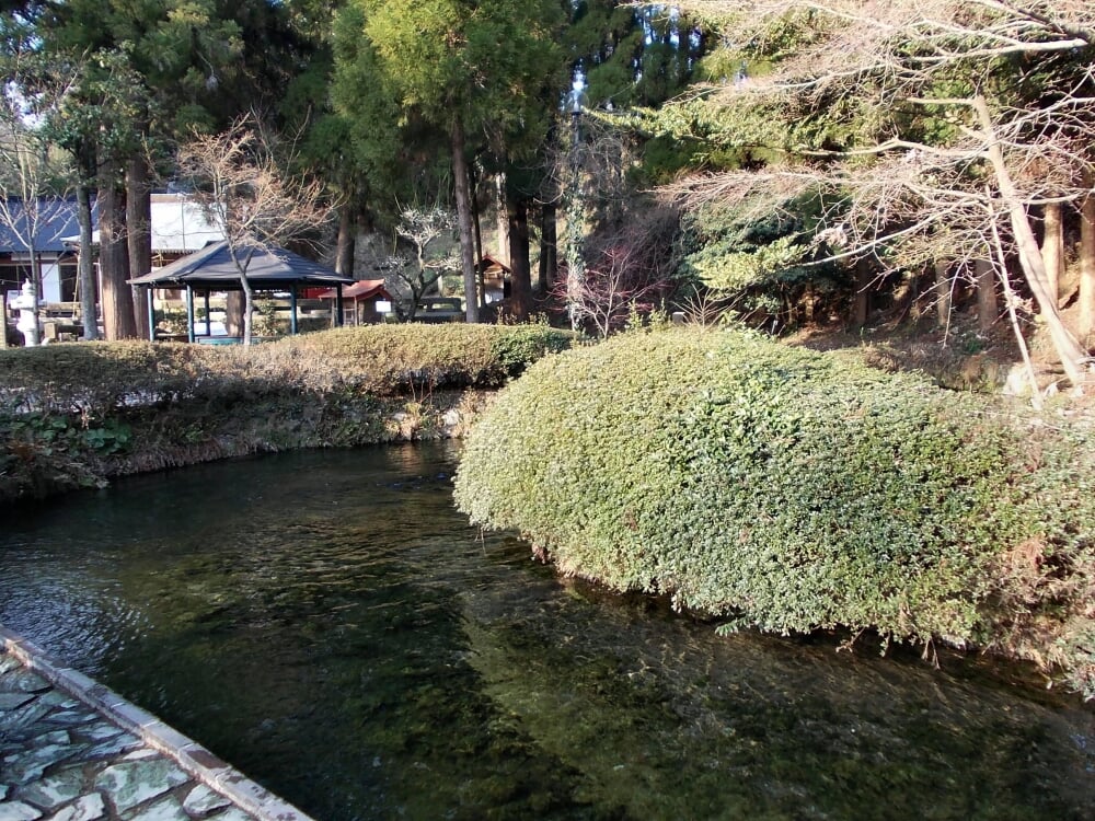 白川水源の写真 ©STA3816(CC BY-SA 3.0)