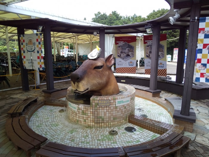 伊豆高原 旅の駅ぐらんぱるぽーとの写真 