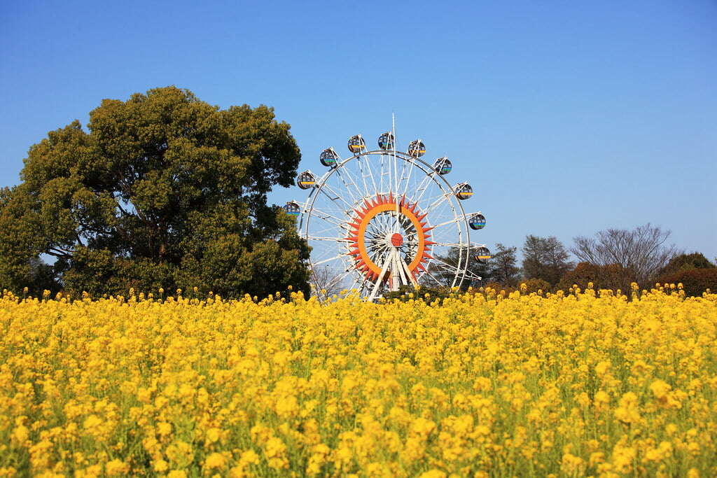 熊本市動植物園の写真 ©TANAKA Juuyoh (田中十洋)(CC BY 2.0)