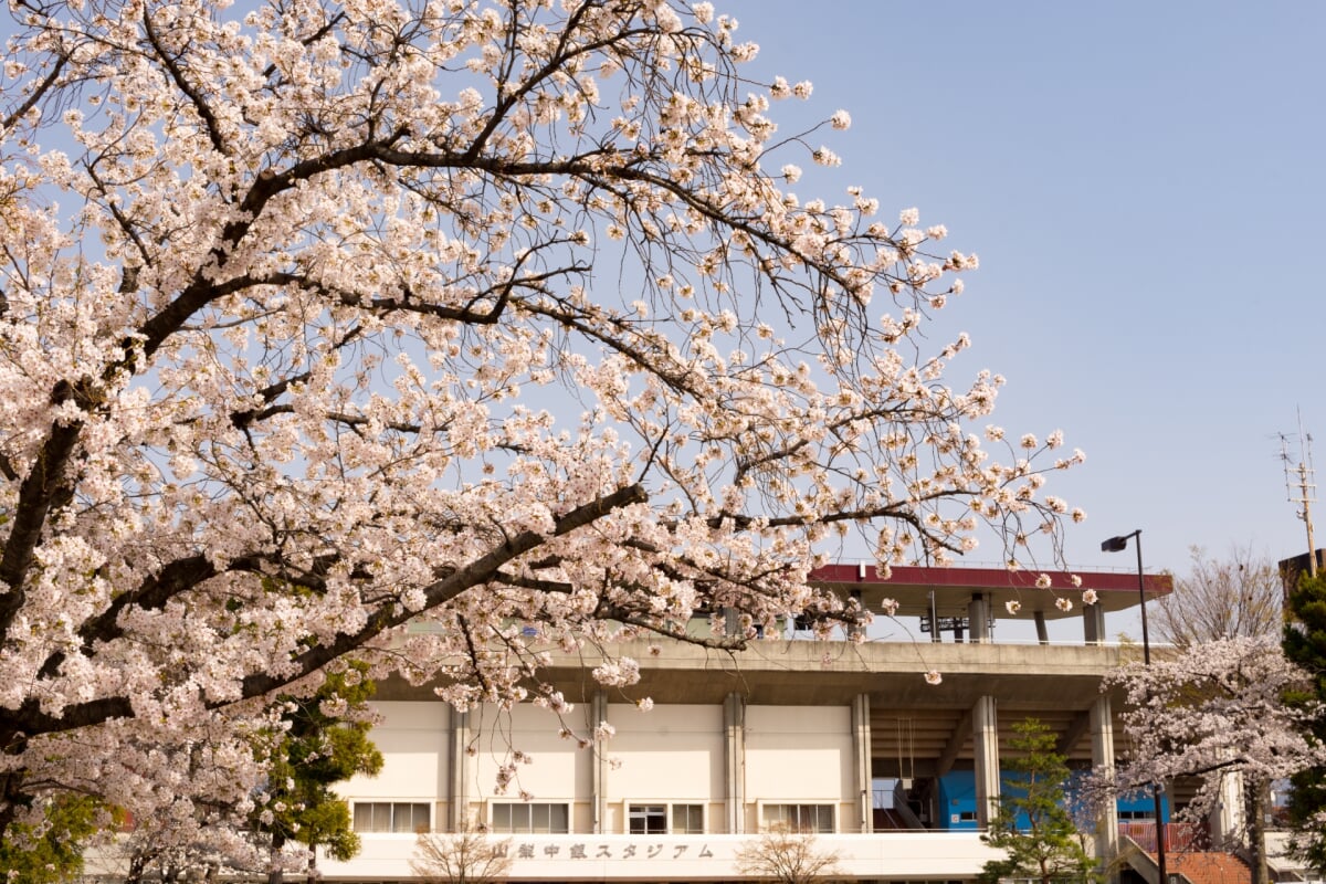 小瀬スポーツ公園の写真 