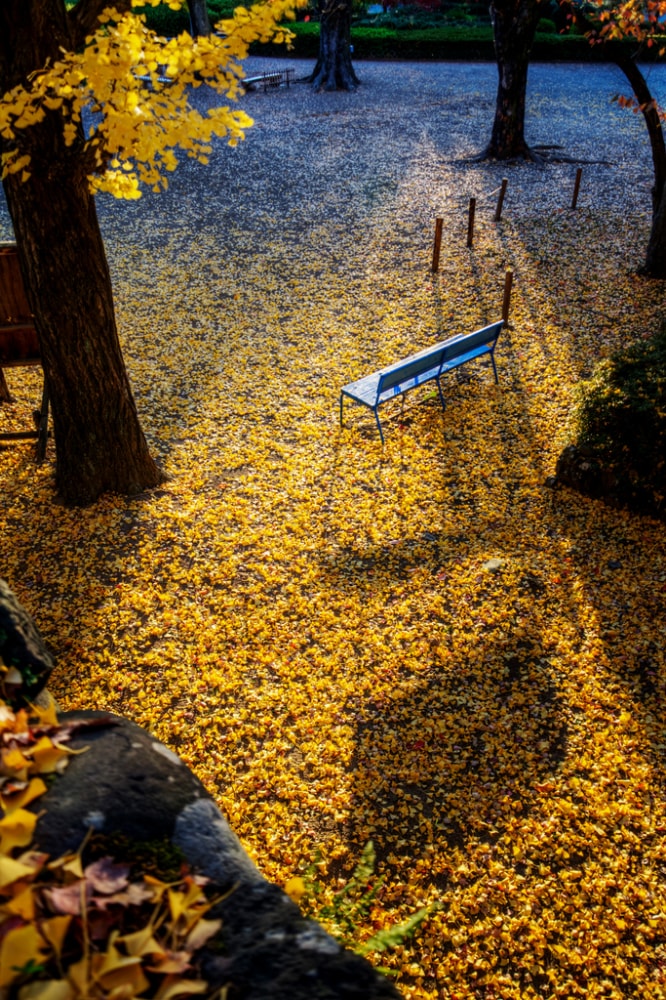 上田城跡公園の写真 ©Yuya Sekiguchi(CC BY 2.0)