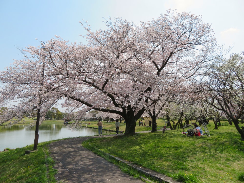 落合公園の写真 ©KKPCW(CC BY-SA 4.0)