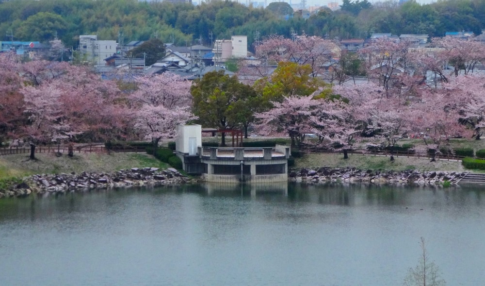 落合公園の写真 ©KKPCW(CC BY-SA 4.0)