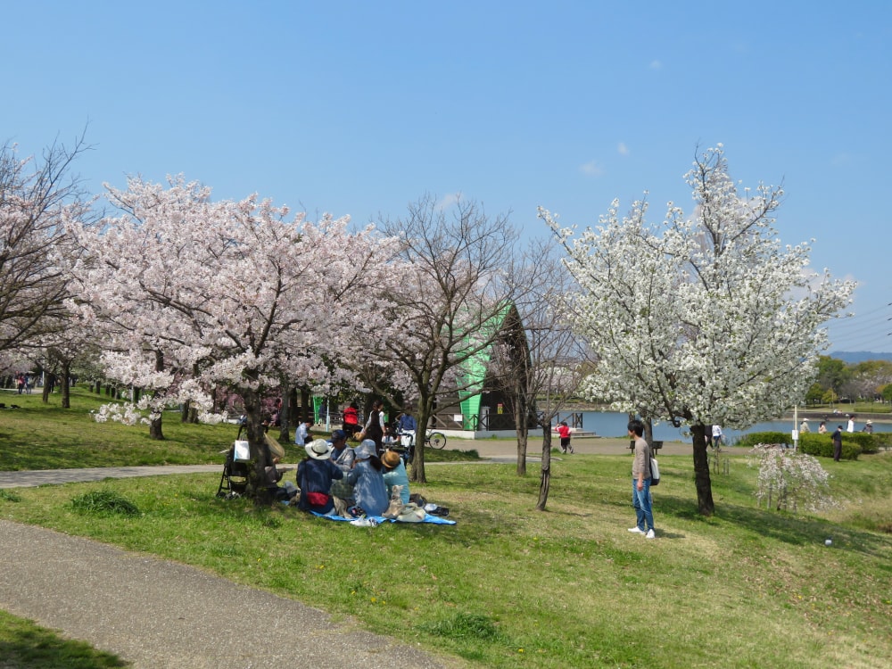 落合公園の写真 ©KKPCW(CC BY-SA 4.0)