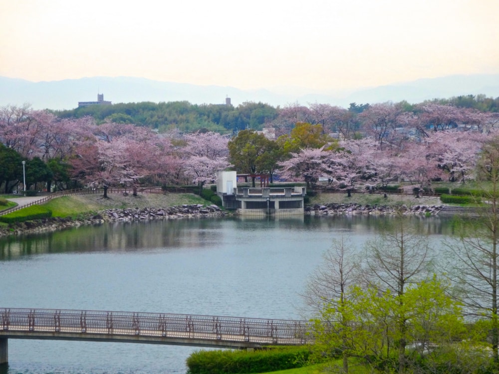 落合公園の写真 ©KKPCW(CC BY-SA 4.0)