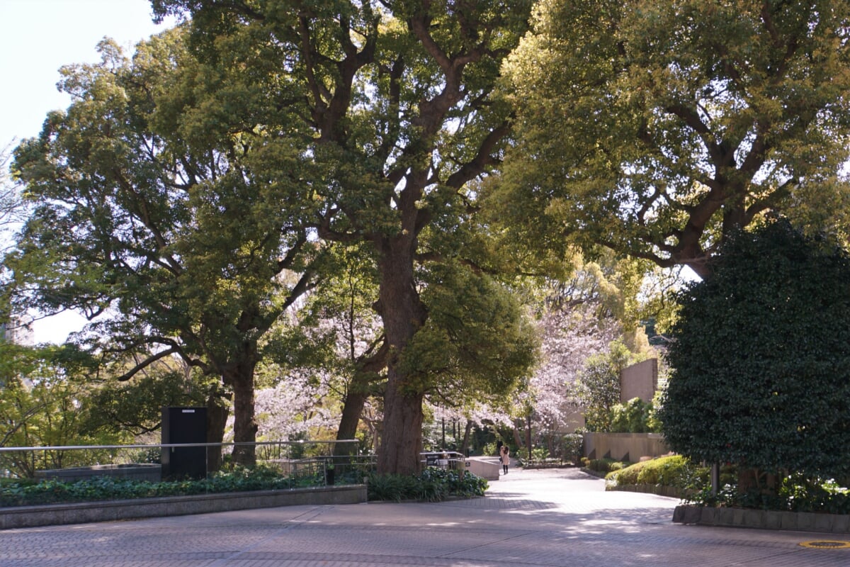 御殿山庭園の写真 