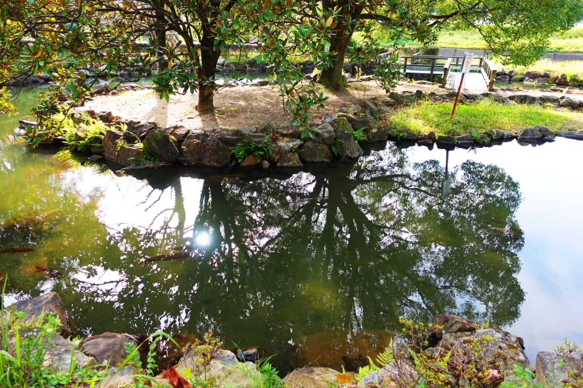 柳川瀬公園の写真 